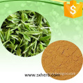 Natural 20%-98% Tea Polyphenol. 20%-80% Catechins. 20%-99% EGCG. Green Tea Extract